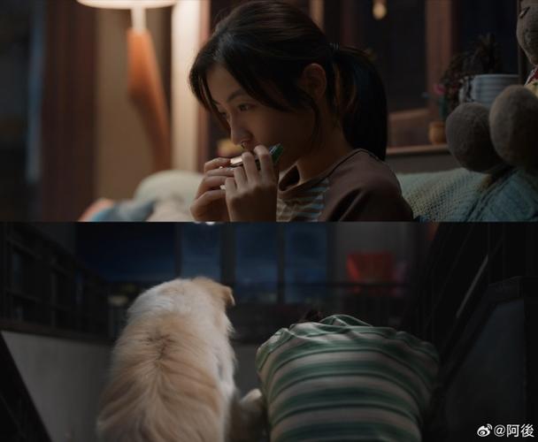 今日(6月2日),电影《说再见》释出影院版预告,张子枫饰演的女孩小满冒雨解救流浪小狗,从对峙到试探再到双向奔赴,短短20秒的片段让不少观众直呼戳心。影片由薛晓路担任监制及编剧,新晋导演董宏杰执导,张子