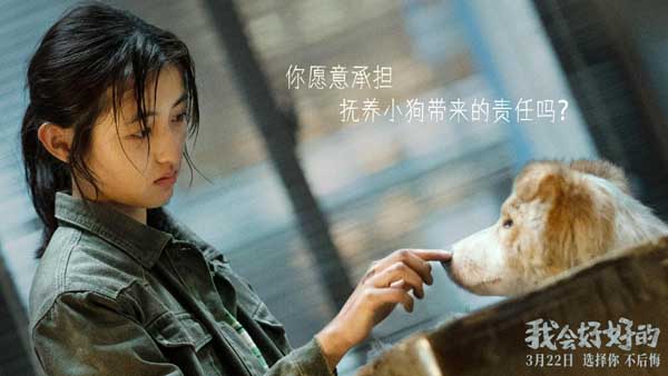 电影《我会好好的》定档3月22日温暖开春 张子枫王景春演绎人宠陪伴暖心故事